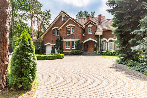 Best Driveway Paving Contractor  in Coldwater, MS