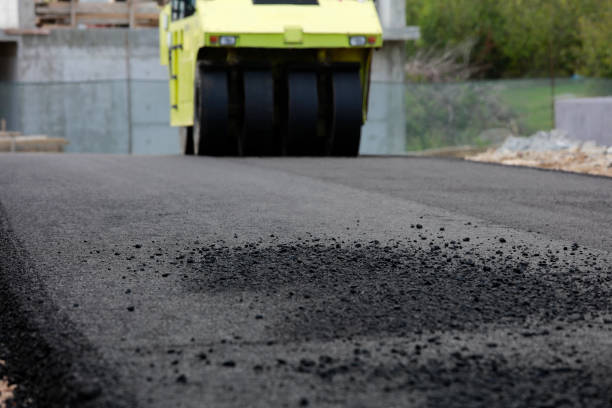 Best Driveway Pavers Near Me  in Coldwater, MS