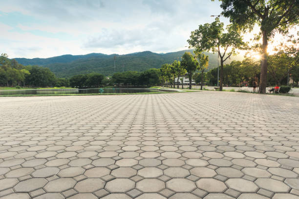 Best Affordable Driveway Pavers  in Coldwater, MS