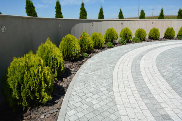 Best Decorative Driveway Pavers  in Coldwater, MS