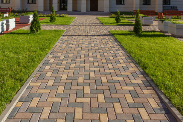 Best Driveway Paving Contractor  in Coldwater, MS